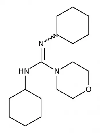 Chemical structure of N,N’-Dicyclohexyl-4-morpholinecarboxamidine | 4975-73-9
