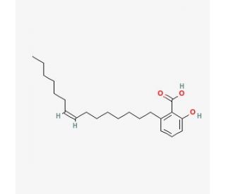 Chemical structure of Ginkgolic Acid | 22910-60-7