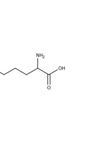 Chemical structure of L-Ornithine HCI | 3184-13-2