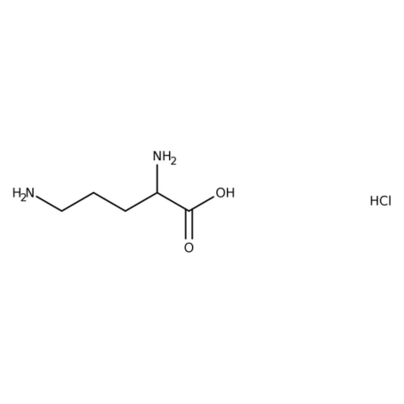 Chemical structure of L-Ornithine HCI | 3184-13-2