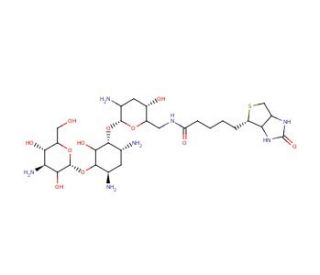 Chemical structure of Biotinyl Tobramycin Amide | 419573-18-5