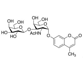 Chemical structure of 4-Methylumbelliferyl 2-Acetamido-2-deoxy-3-O-(β-D-galactopyranosyl)-α-D-galactopyranoside | 210357-36-1