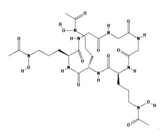 Chemical structure of Ferrichrome Iron-free from Ustilago sphaerogena | 34787-28-5