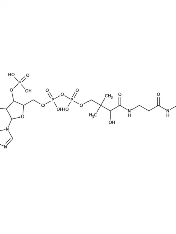 Chemical structure of Coenzyme A | 85-61-0