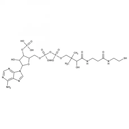 Chemical structure of Coenzyme A | 85-61-0