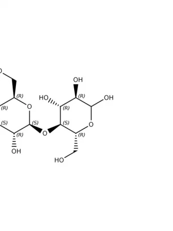 Sodium Starch Glycolate | 9063-38-1