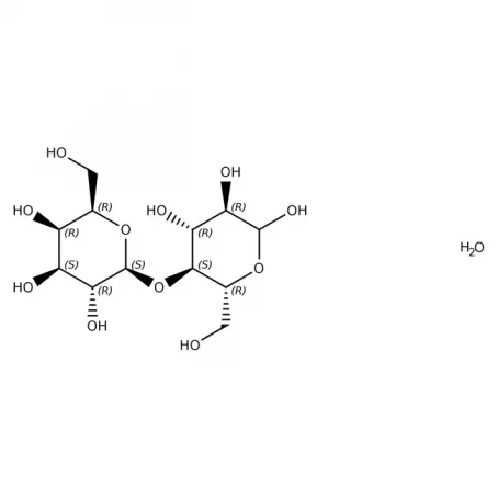 Sodium Starch Glycolate | 9063-38-1