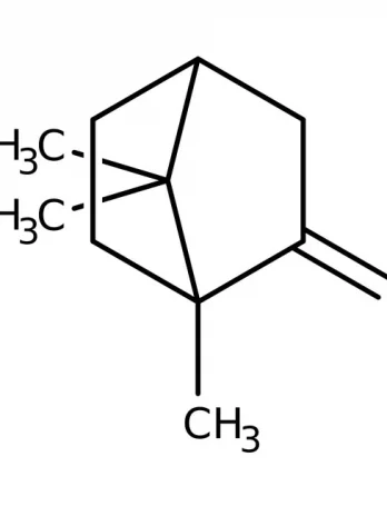 Chemical structure of DL-alpha-glycerophosphate disodium salt | 34363-28-5