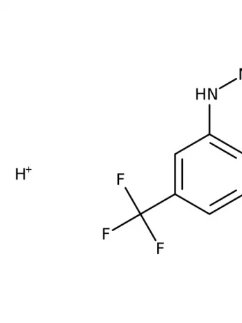 Chemical structure of Specifications Odor Odorless Quantity 10g Formula Weight 212.6 Percent Purity 98% Chemical Name or Material 3-(Trifluoromethyl)phenylhydrazine hydrochloride