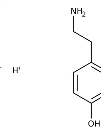 Chemical structure of Tyramine HCL | 60-19-5