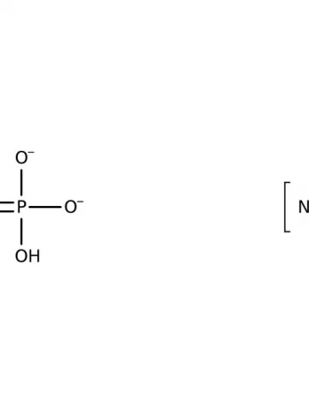 Chemical structure of Sodium Phosphate Dibasic | 7558-79-4