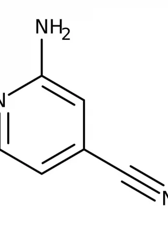 2-Amino-4-cyanopyrididne | 42182-27-4