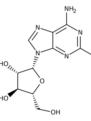 Chemical structure of 2-Fluoroadenine-9-β-D-arabinofuranoside | 21679-14-1