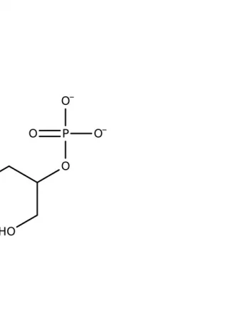 Chemical structure of Calcium Glycerophosphate | 27214-00-2