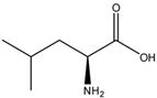 Chemical structure of L-Leucine | 61-90-5