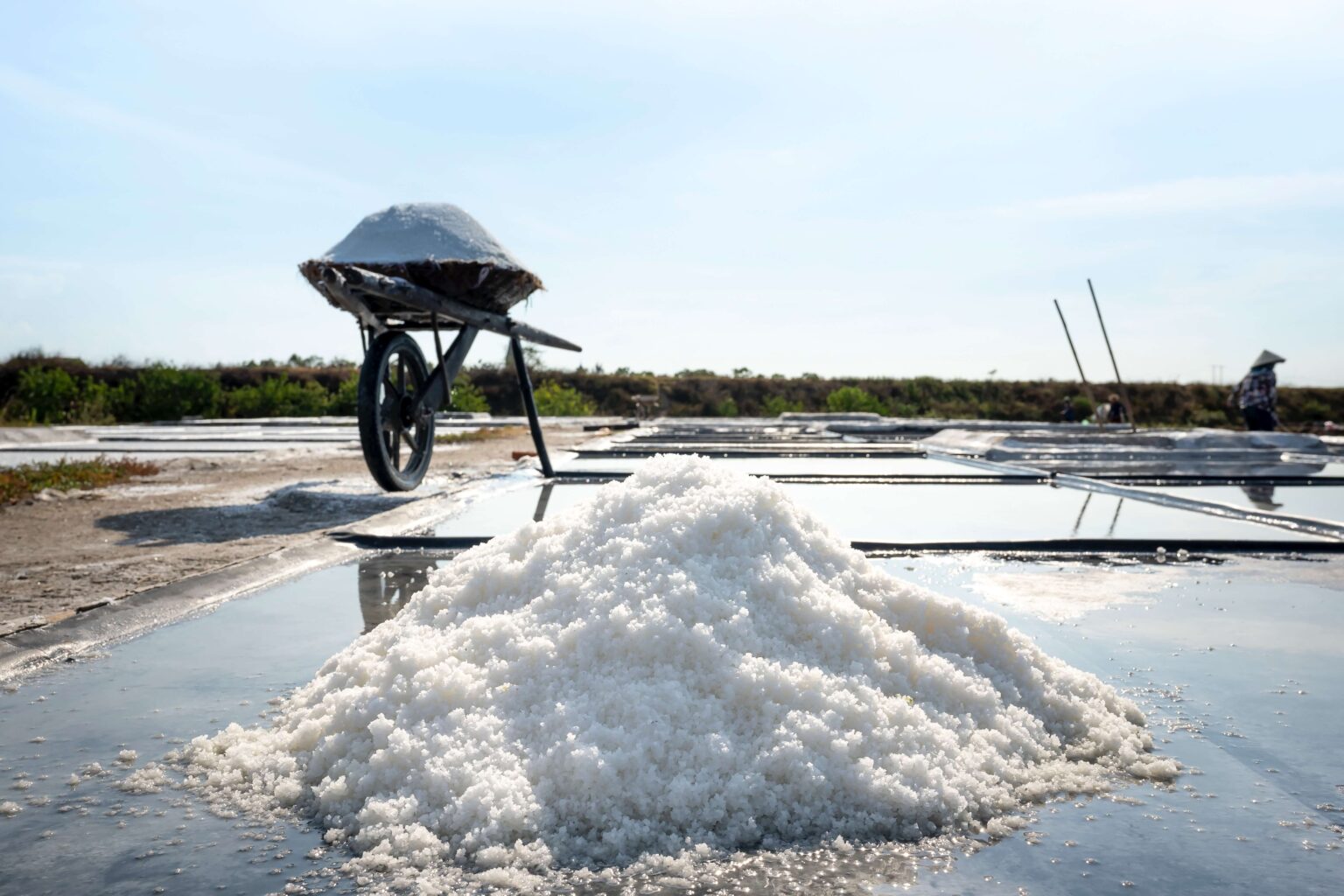 What is Sodium Lauroyl Sarcosinate (+More FAQs)